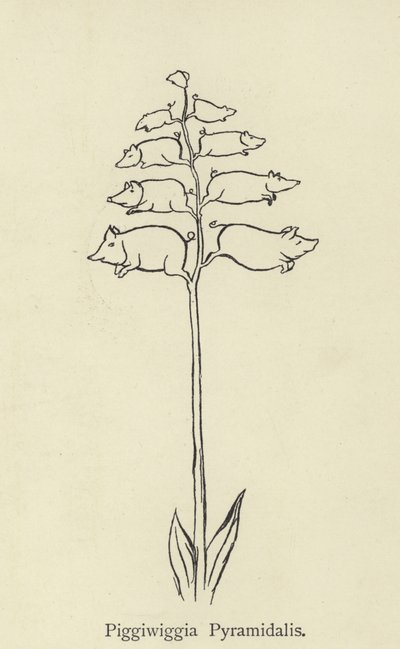 Piggiwiggia Pyramidalis - Edward Lear